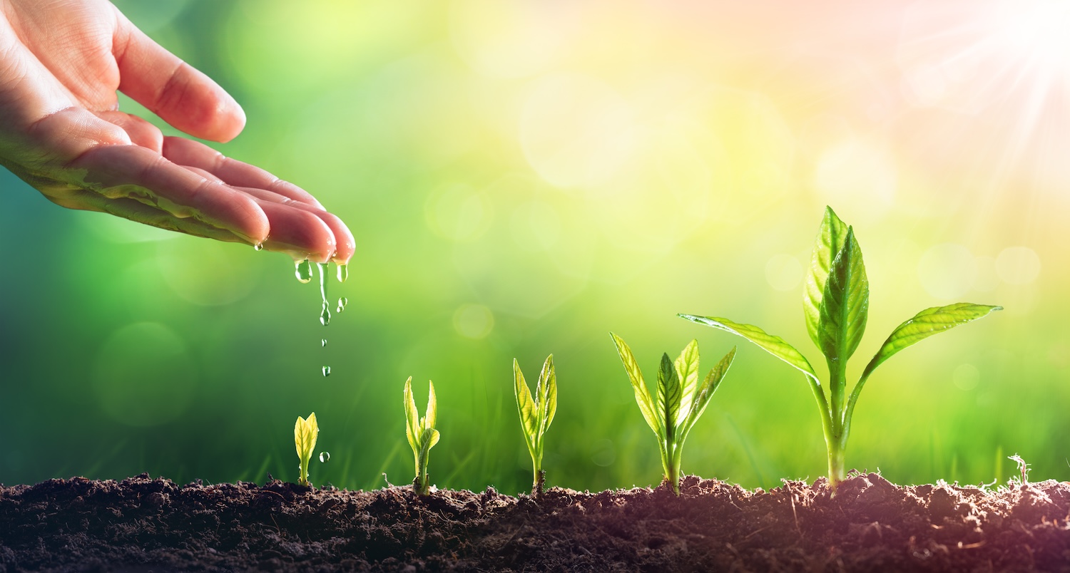AdobeStock_247041961